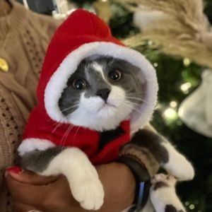 Meet your Posher, Annick